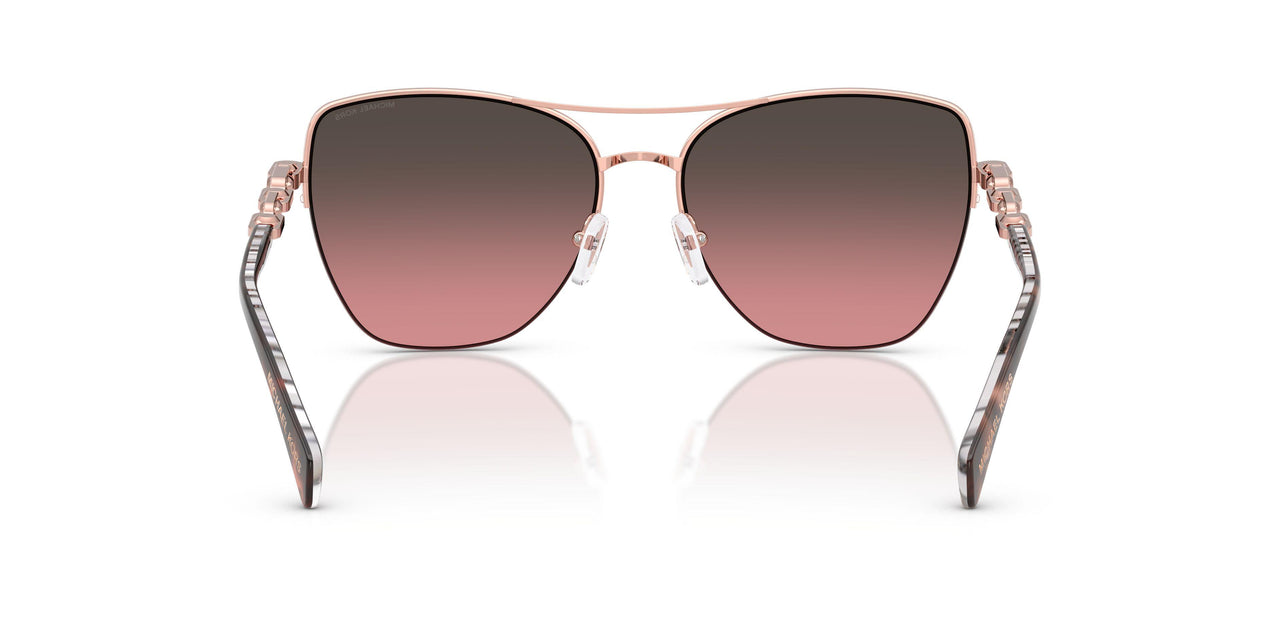 110811 - Pink - Brown Rose Gradient