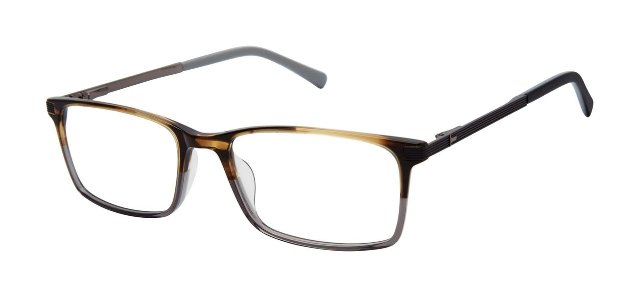 Ted Baker TFM016 Eyeglasses