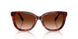 593874 - Tortoise - Brown Gradient