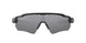 920851 - Black - Prizm Black Polarized
