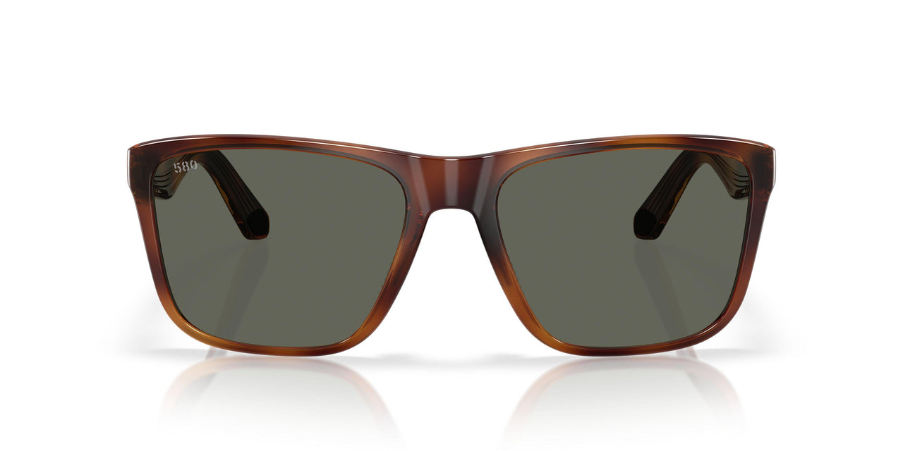 912605 - Tortoise - Gray