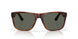 912605 - Tortoise - Gray