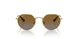 223/T5 - Gold - Grey Gradient Brown Polar