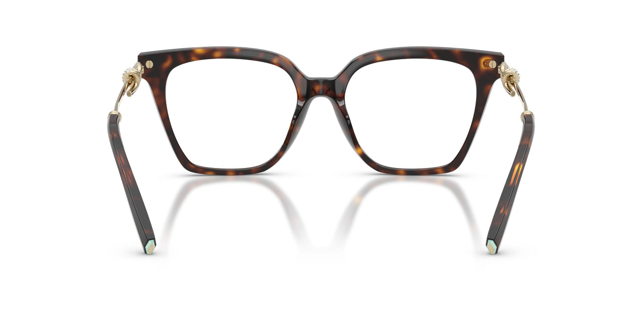 8015 - Tortoise