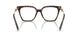 8015 - Tortoise