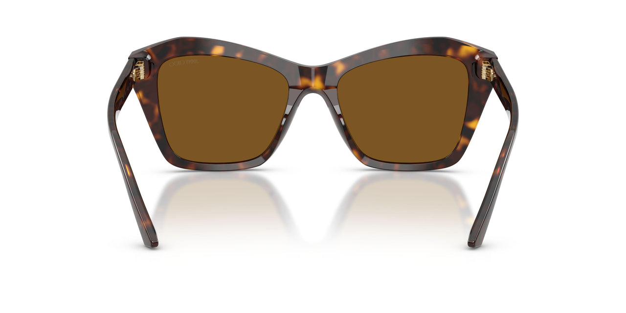500283 - Tortoise - Dark Brown Polarized