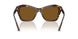 500283 - Tortoise - Dark Brown Polarized