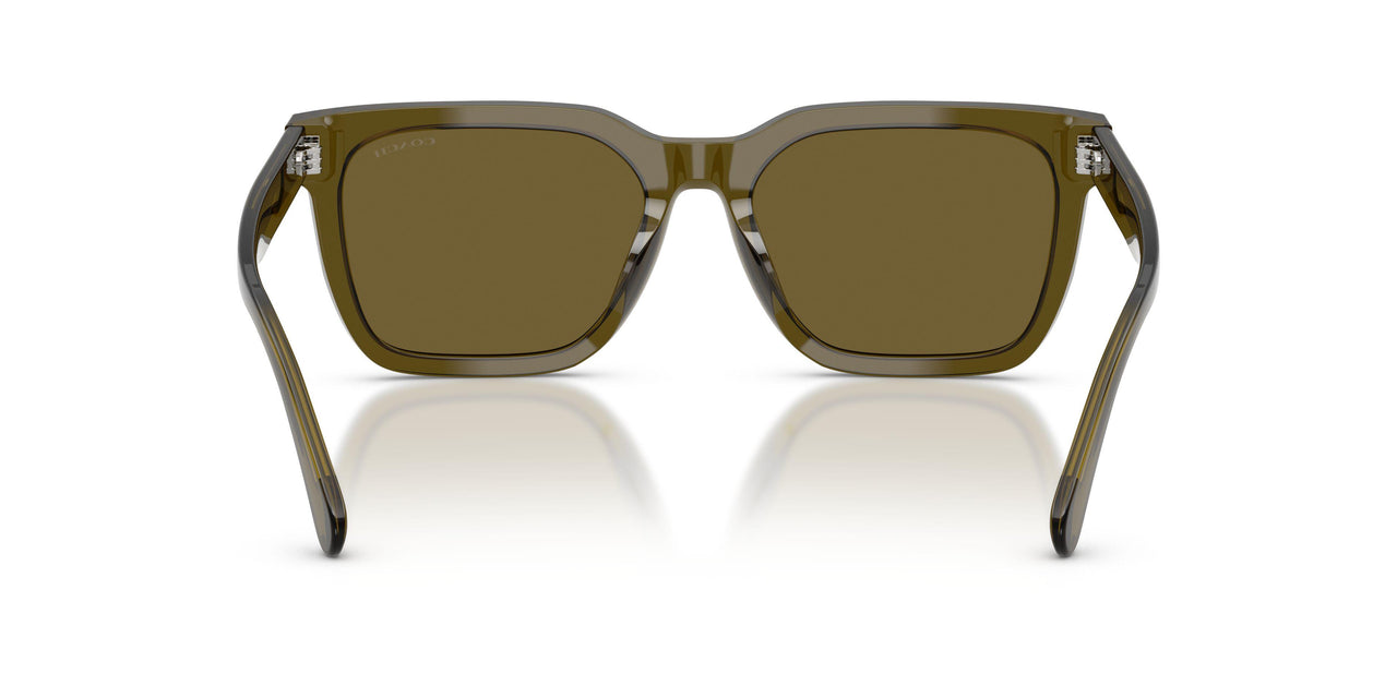 591073 - Green - Olive Solid