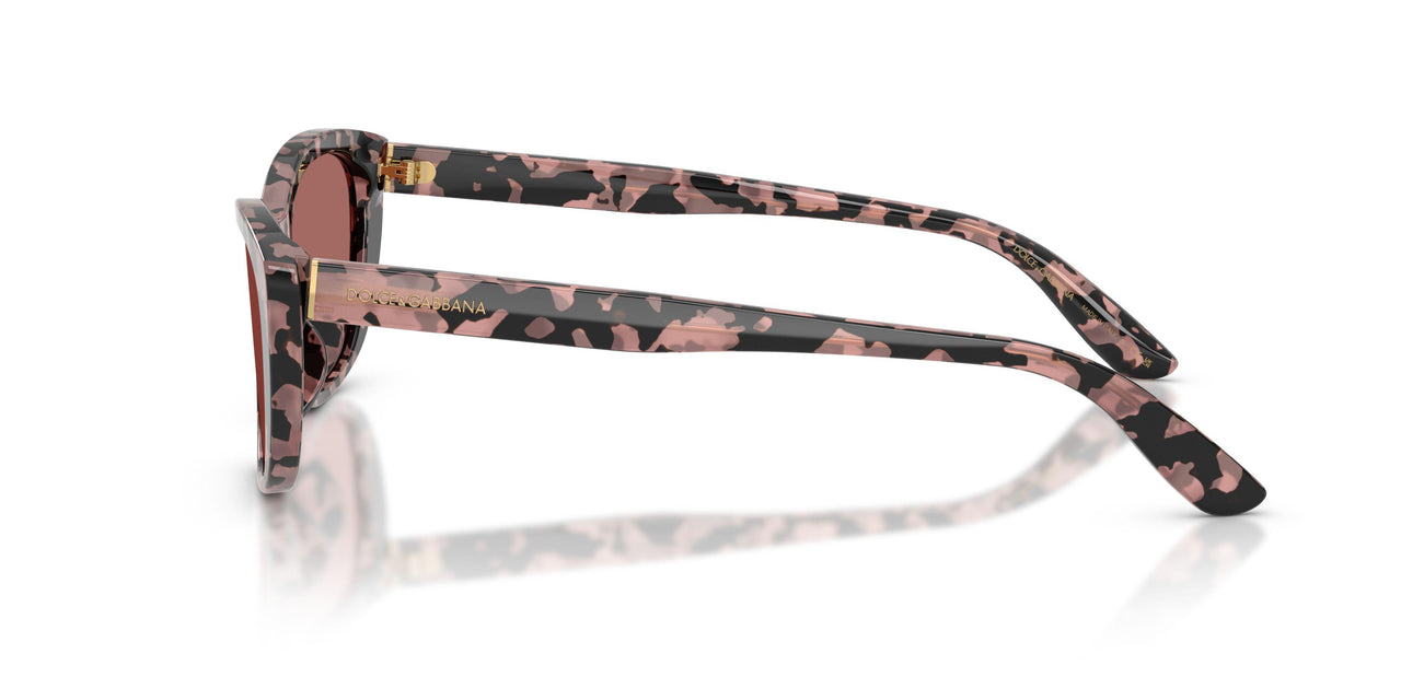 347669 - Tortoise - Dark Violet