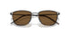 300173 - Black - Brown