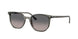 Ray-Ban Elliot 2197 Sunglasses