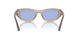 318172 - Brown - Blue