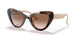 07R0A6 - Havana - Brown Gradient