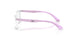 3979 - Transparent - Demo Bio