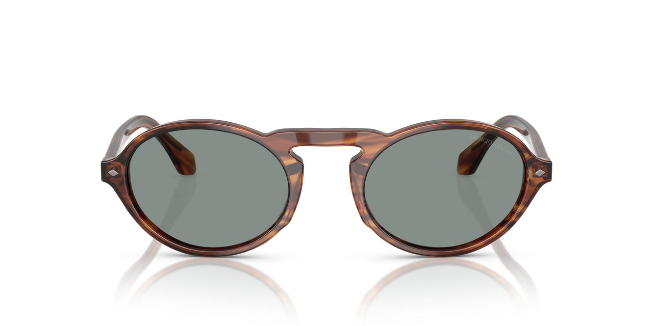 616256 - Tortoise - Blue