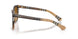 420213 - Brown - Brown Gradient