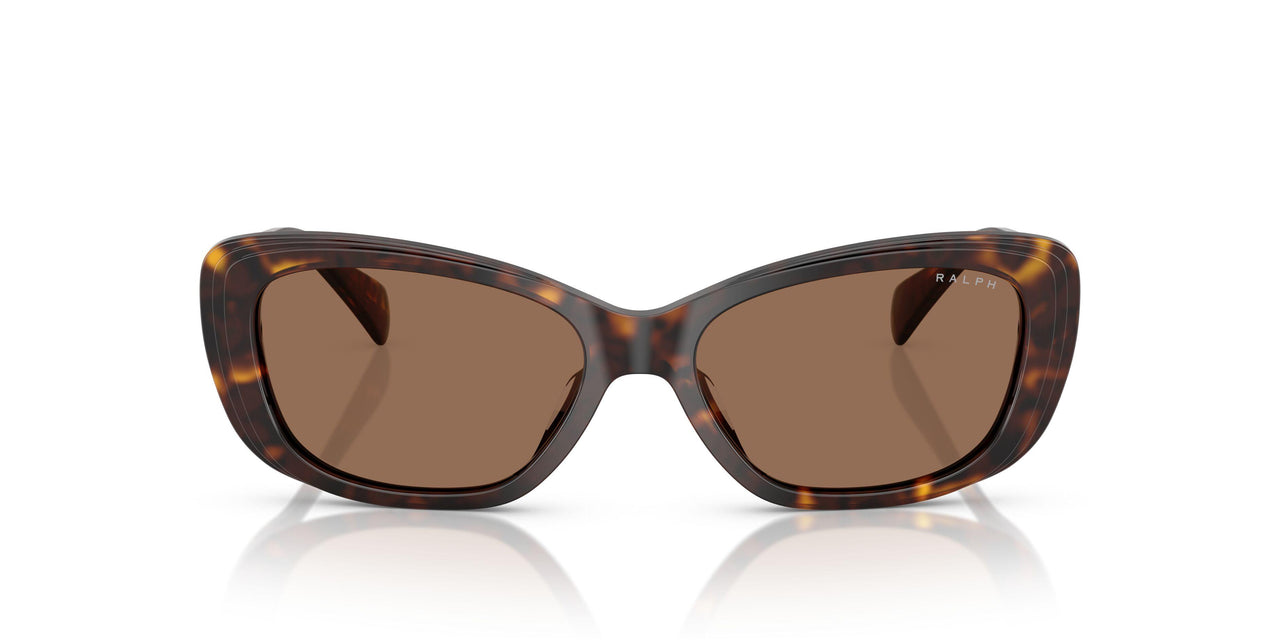 500313 - Tortoise - Brown