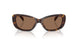500313 - Tortoise - Brown
