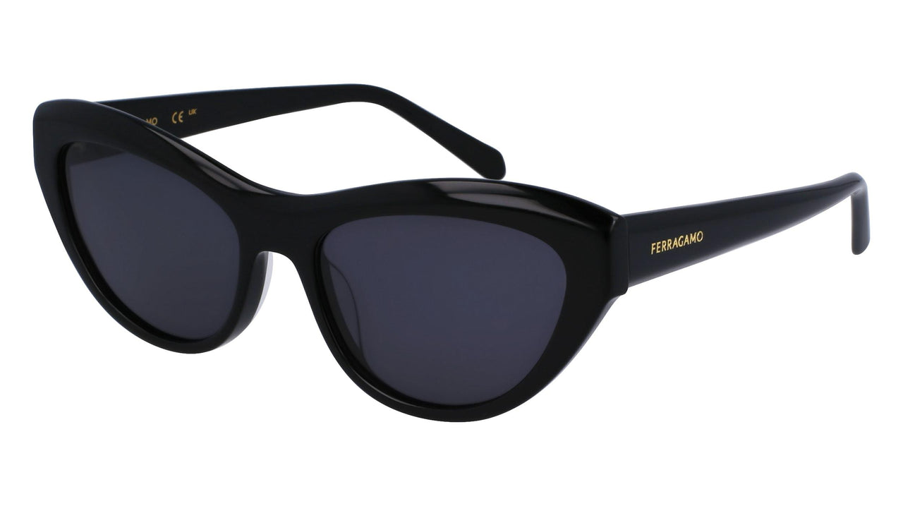 Salvatore Ferragamo SF1103S Sunglasses