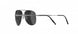 6560 - Ruthenium Black - SLM Grey