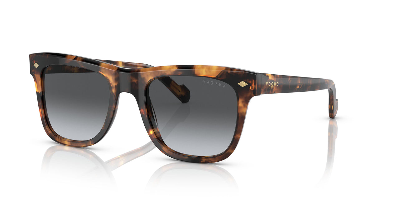 2819T3 - Havana - Gradient Dark Grey Polar