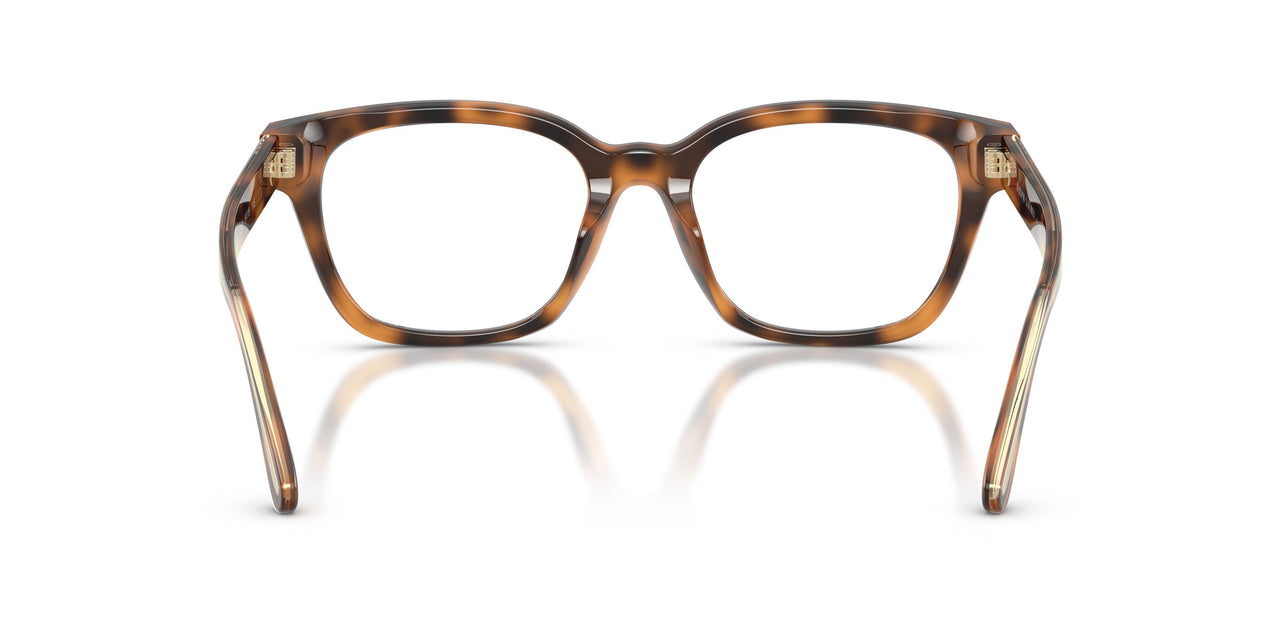 6089 - Tortoise