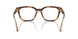 6089 - Tortoise