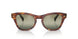 954/G4 - Havana - Green Vintage