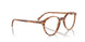 8359 - Tortoise - Clear