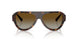 5002T5 - Tortoise - Polar Gradient Brown
