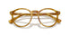618573 - Tortoise - Brown