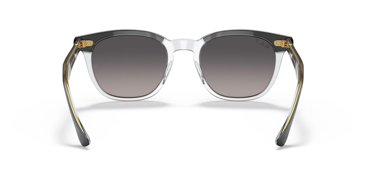 1294M3 - Black - Grey Gradient Polar