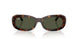 902/31 - Tortoise - Green