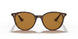 710/83 - Havana - Polar Brown