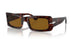 24/33 - Tortoise - Brown