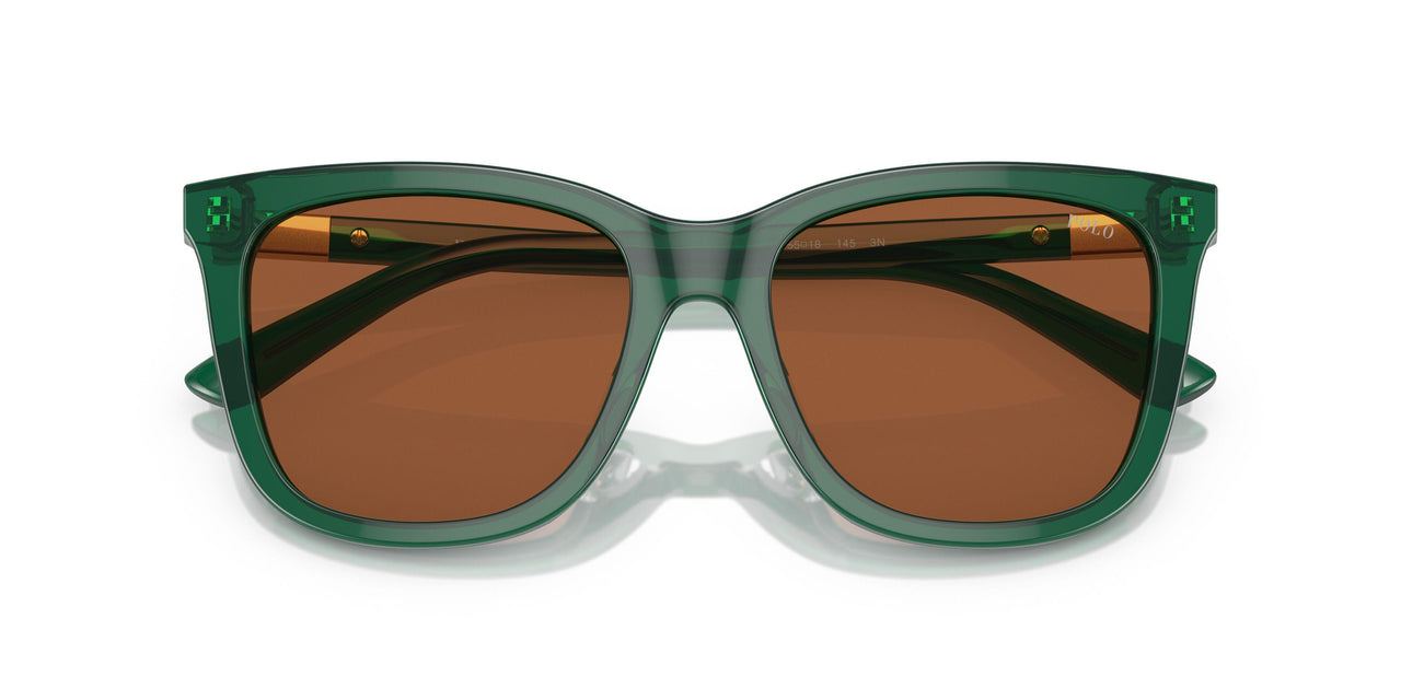 619573 - Green - Brown