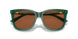619573 - Green - Brown