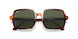 954/31 - Havana - Green