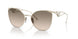 ZVN3D0 - Gold - Brown Gradient Grey