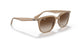 616613 - Light Brown - Gradient Brown