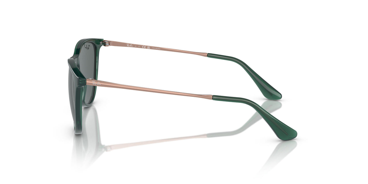 713081 - Green - Dark Grey