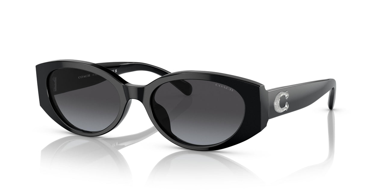 50028G - Black - Grey Gradient