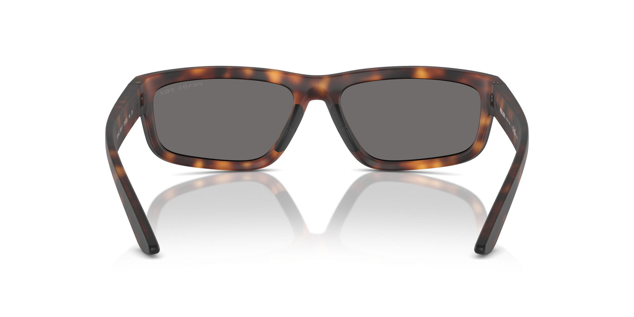 17X02G - Tortoise - Dark Grey Polar