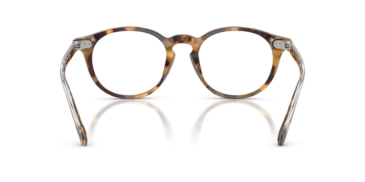 6339 - Tortoise