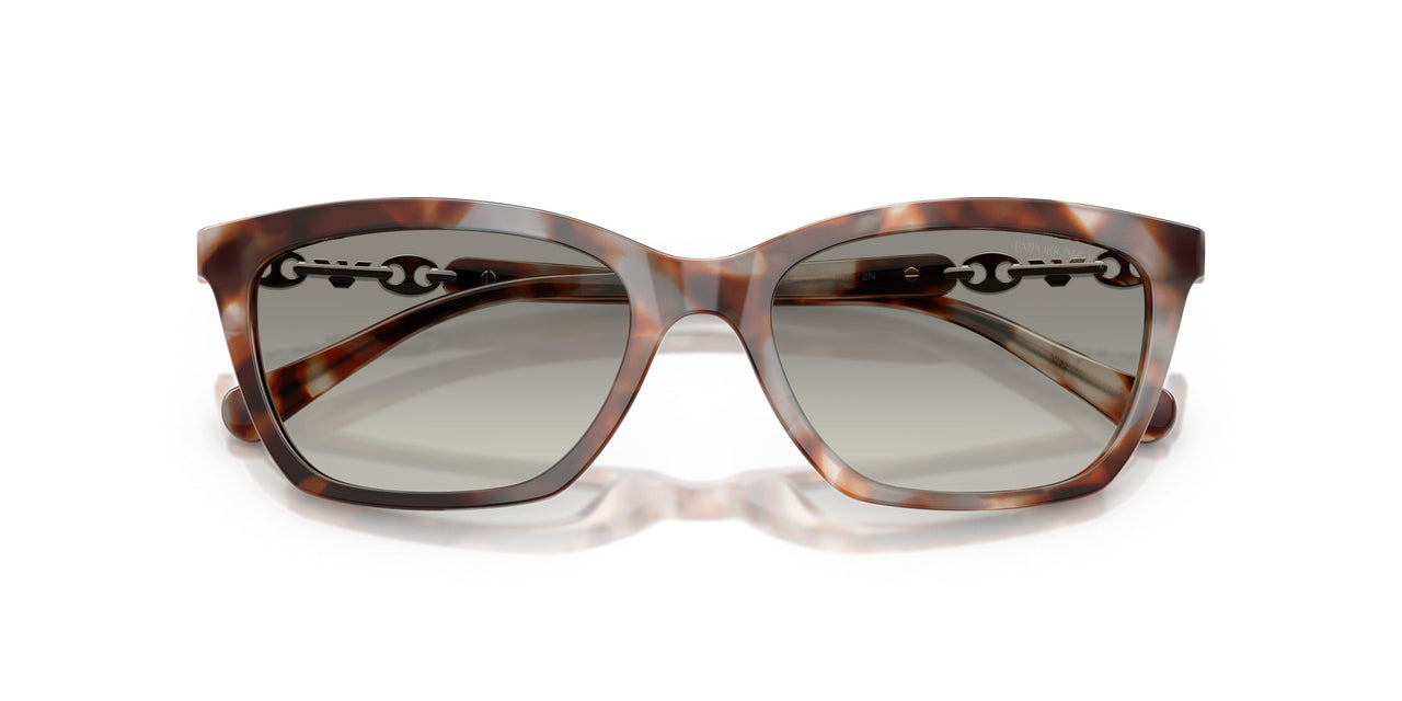61953C - Tortoise - Grey Gradient