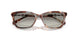 61953C - Tortoise - Grey Gradient
