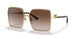 02/13 - Gold - Gradient Brown