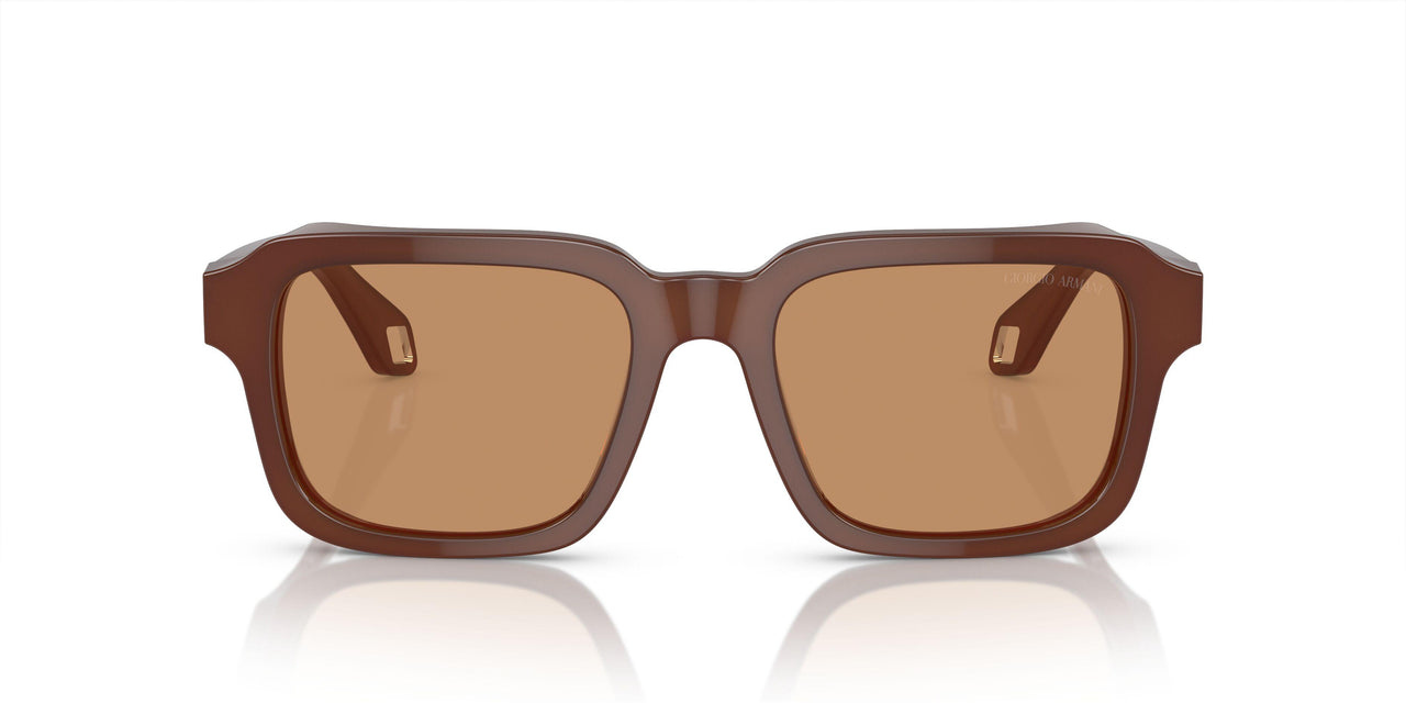 604253 - Blue - Brown