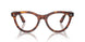 2144 - Brown - Clear