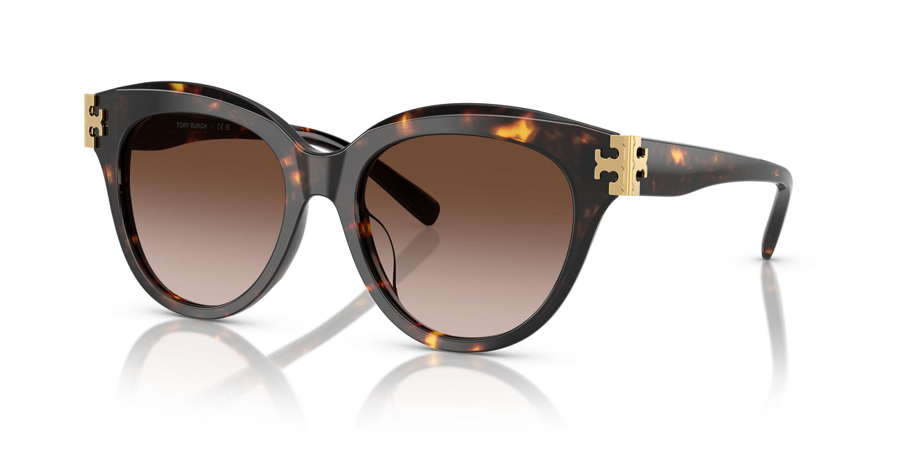 201613 - Tortoise - Brown Gradient